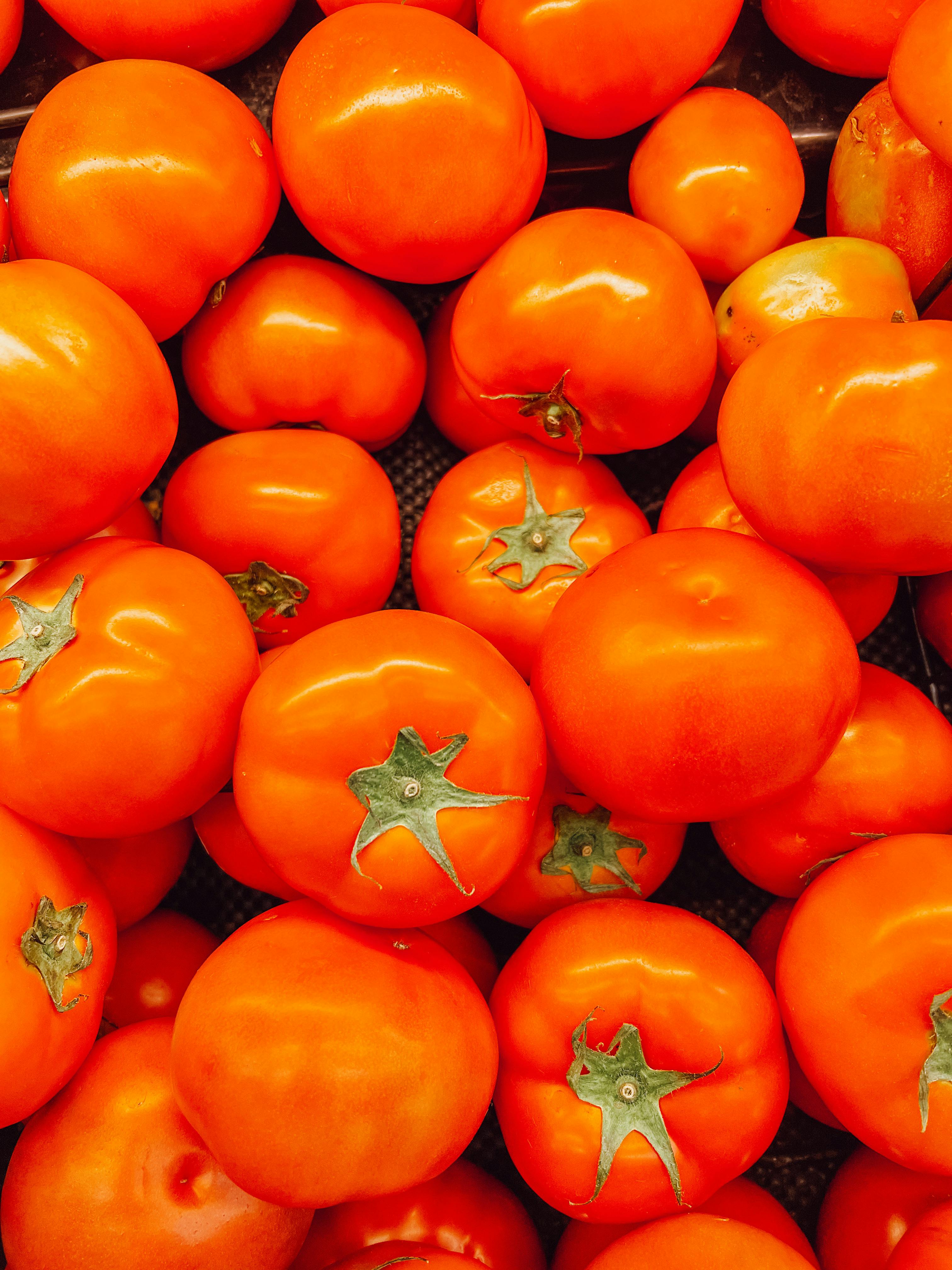 Tomato